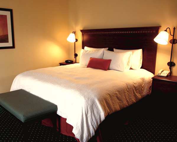 Hampton Inn Petersburg - Southpark Mall Colonial Heights Pokój zdjęcie